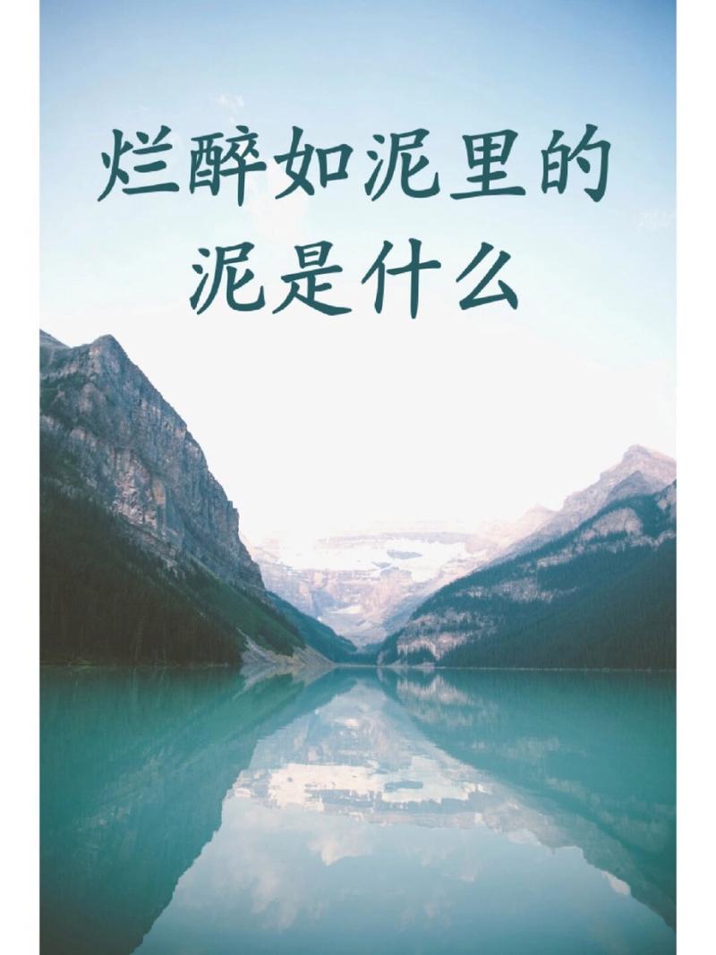 寻找让你烂醉如泥更新地址？快速访问最新版本