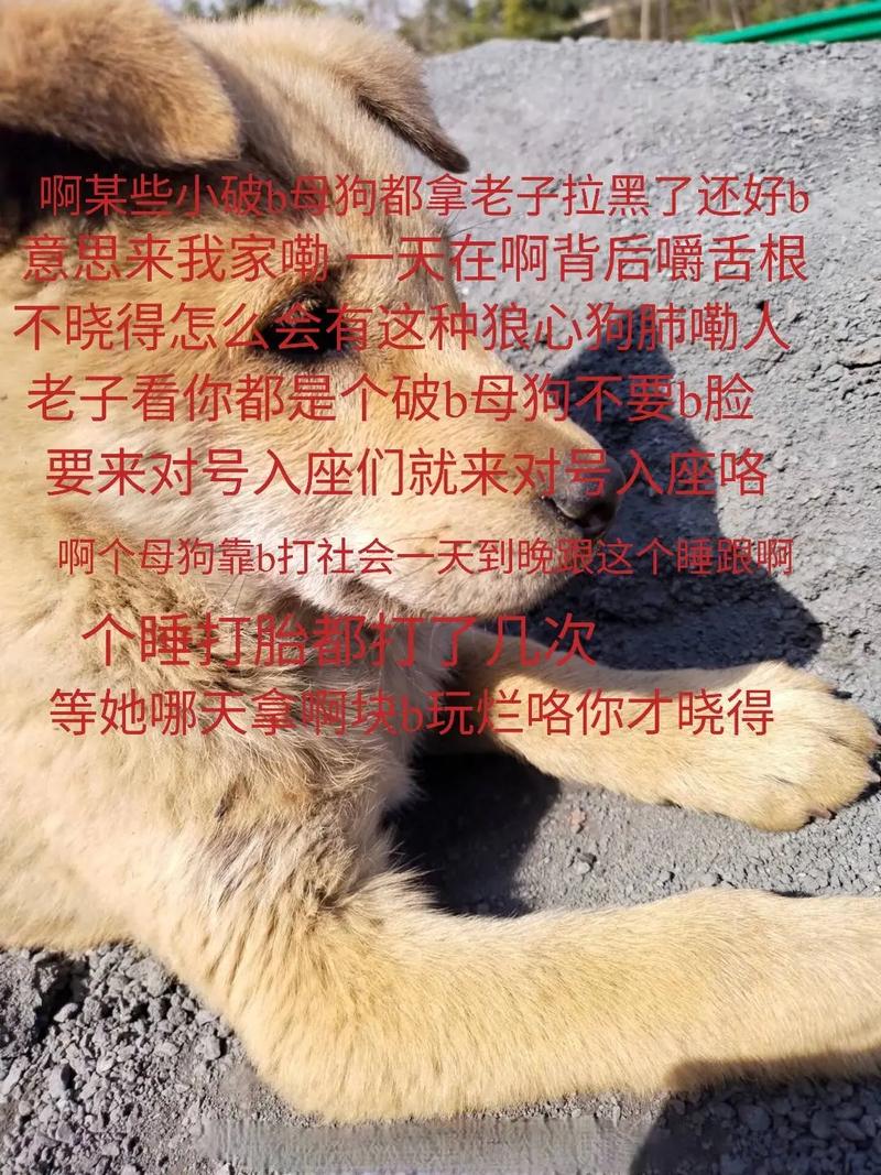 单身狗的日常:找不到真爱就玩你弟弟的游戏!