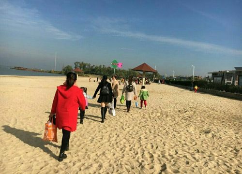 寻找欢乐岛最新更新地址？教你快速找到正确链接