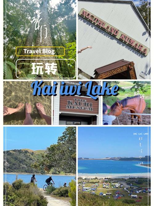 KAI合集安卓版：玩转所有你喜欢的游戏！