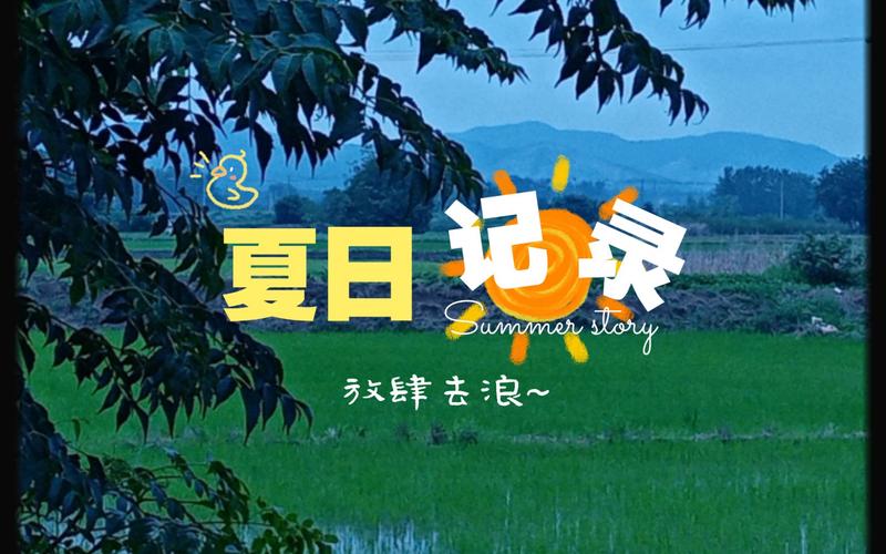 夏日炎炎版本大全:最新游戏版本,畅玩无极限!