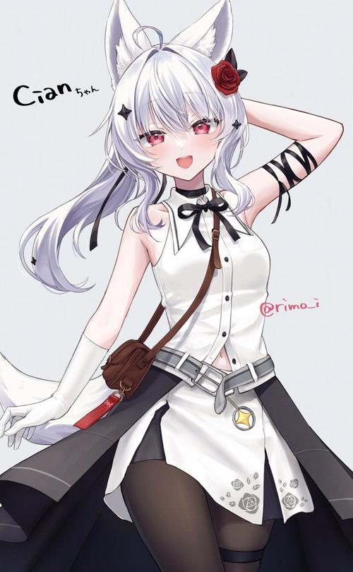 想玩兽耳少女治疗?这里有你需要的版本大全