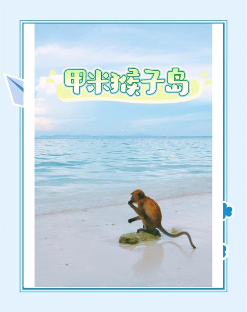 想玩Nekotto岛汉化版？这里提供下载方式及密码