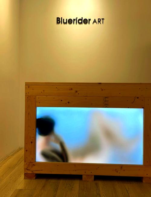 台北仲夏夜之梦各个版本对比:哪个更适合你?