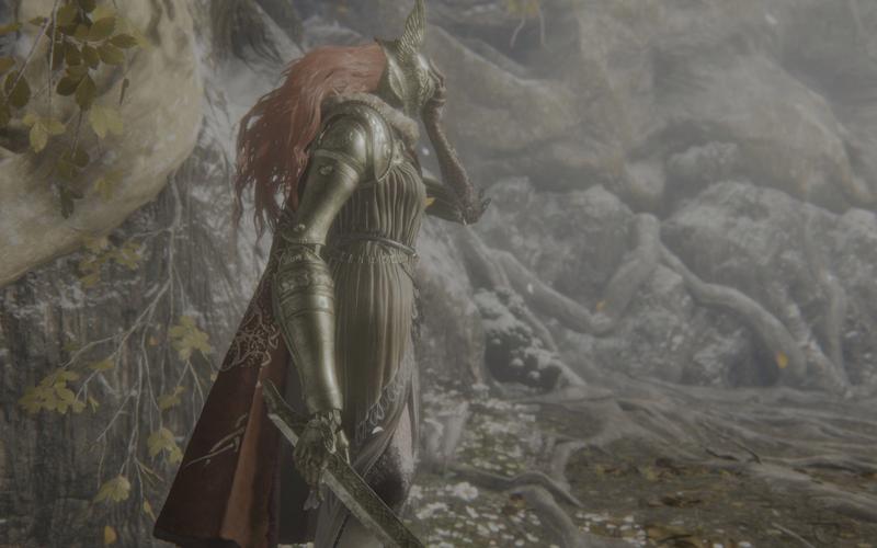 蛮王与女武神版本大全：下载地址及版本区别详解