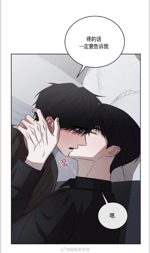 夏日之吻游戏攻略大全:快速通关技巧与隐藏结局