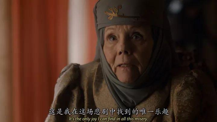 精灵女上司的训狗术游戏详解：剧情玩法大揭秘