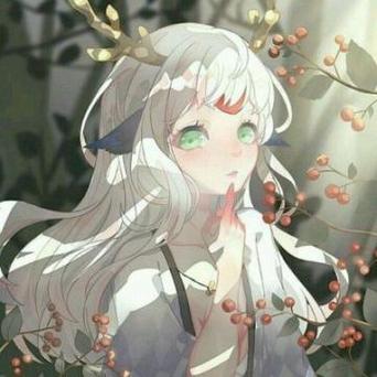 安卓圣女之血救世主汉化版来了，二次元冒险等你开启