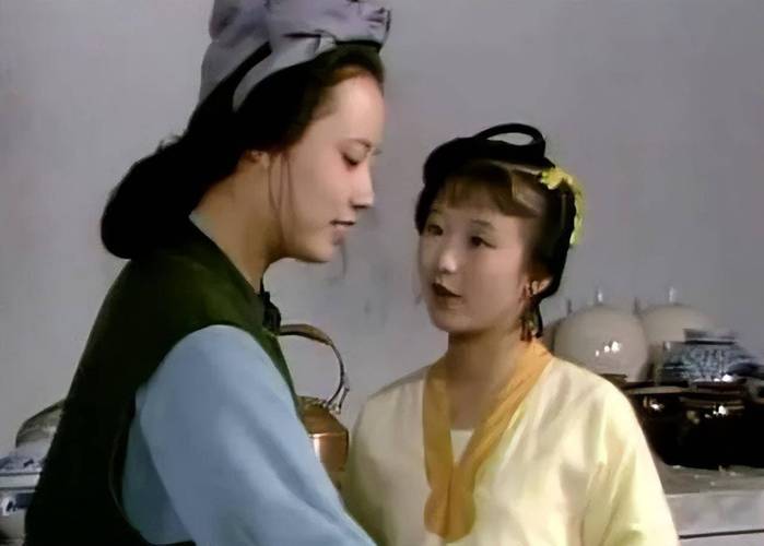 想玩做怡红院的主人安卓版?这里有你想要的