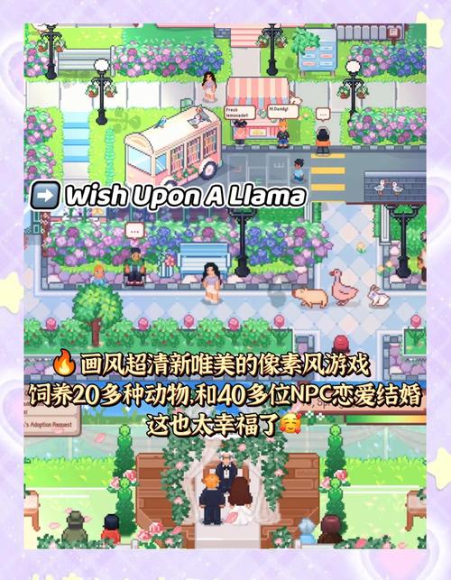 快速进入姬之岛游戏官网：玩转像素风角色扮演