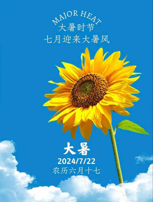 最热的夏天下载地址大全,多种渠道任你选择
