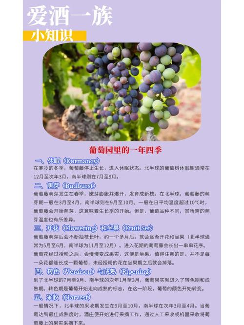 寻找葡萄成熟时下载地址:高清无损音乐轻松获取