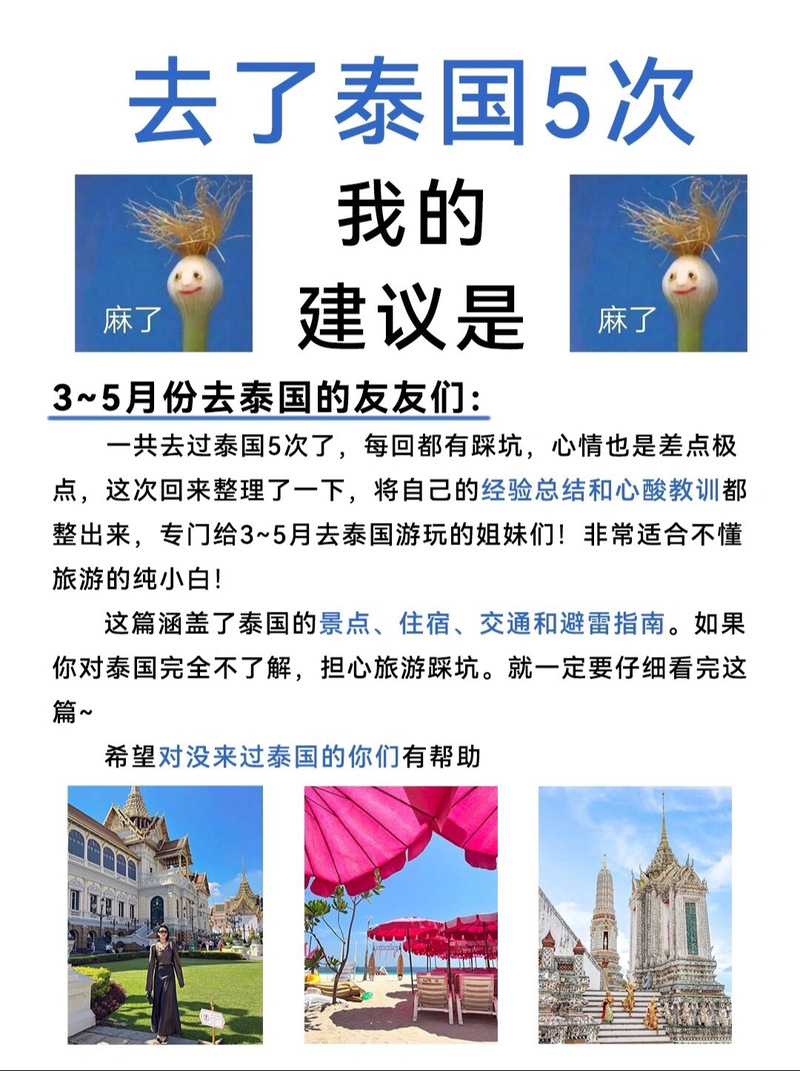 捡到千年猫下载地址大全,各种版本任你选择