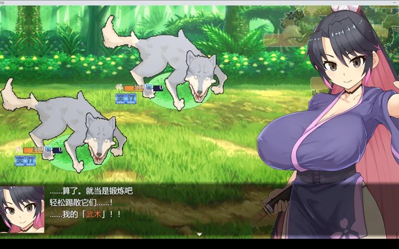 母上攻略旧版合集官网地址:PC安卓全版本合集下载