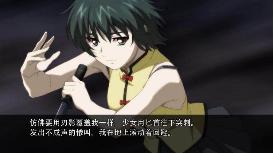 母上攻略2重制版官网下载地址及安装步骤详解