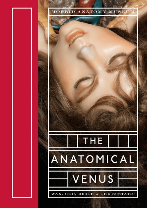 跨界汉化版最新更新:新增剧情+动画,视觉盛宴等你体验!