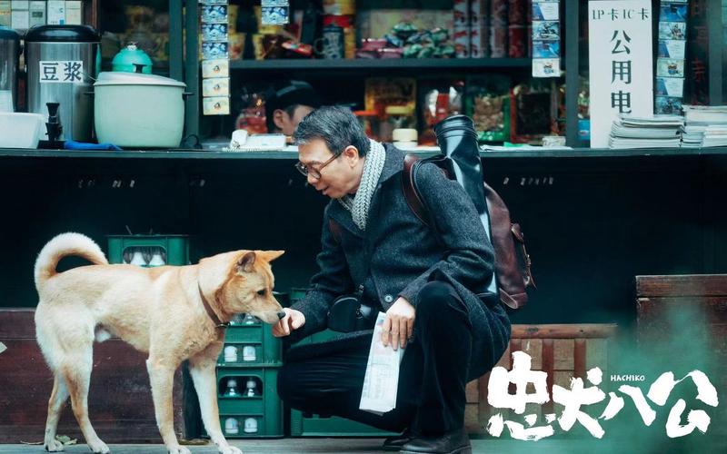 人狗情未了电影下载地址：安全可靠的资源