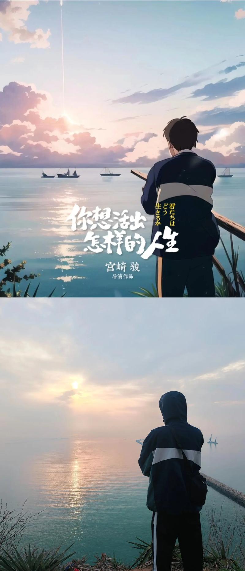 还在迷茫?新生活计划版本大全帮你解惑