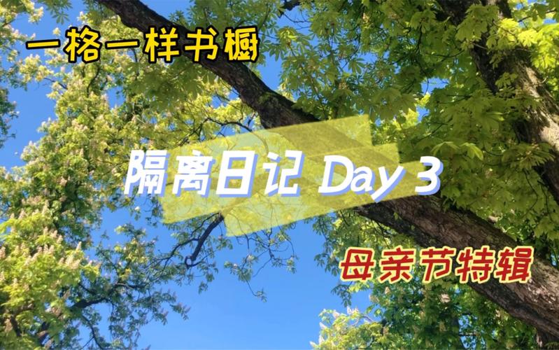 与妈妈一起隔离官方网站入口：最新版本及汉化补丁