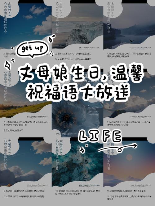 岳母版本大全：各种版本资源大放送