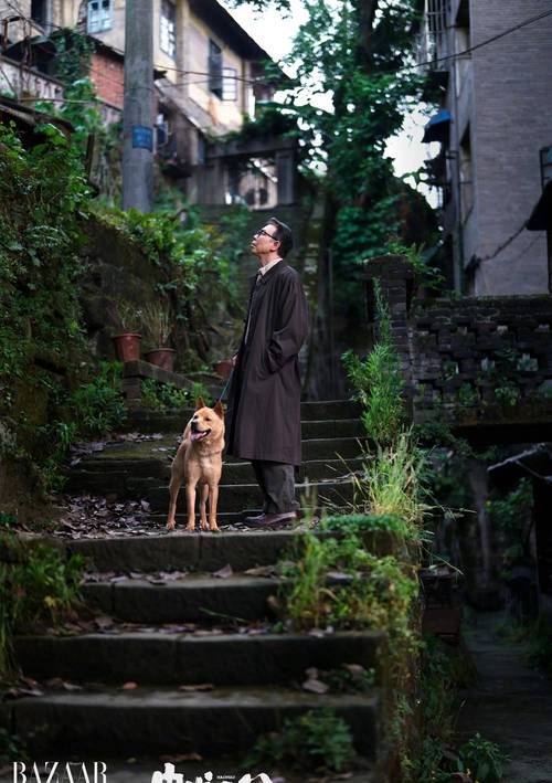 人狗情未了如何下载？高清完整版资源分享