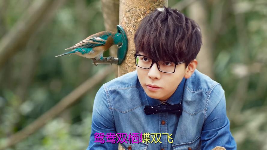 鱼筱版本大全：超全合集，一次听个够！