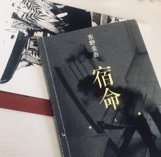 下载宿命论汉化版：揭秘人生，命运的奥秘等你探索