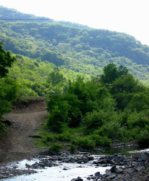 小绿山官方网站：最新汉化版下载及游戏攻略