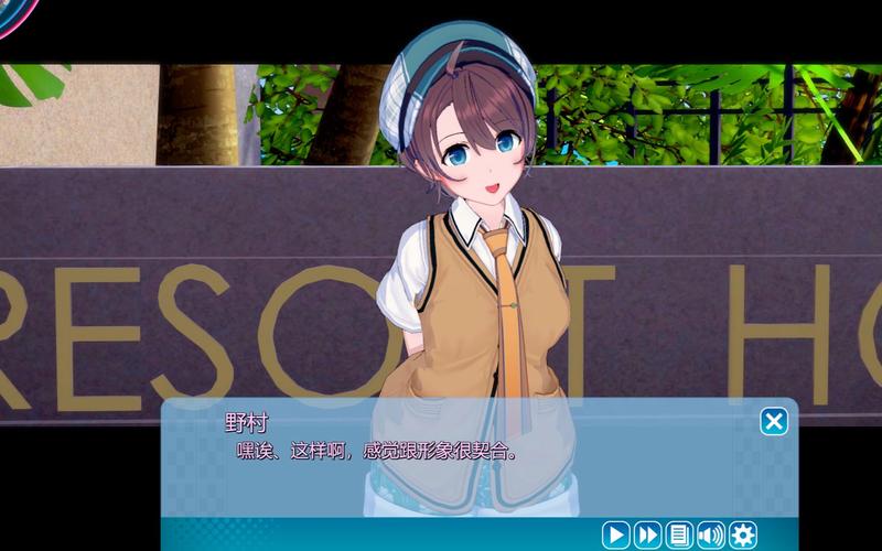 玩转欲之冠绅士游戏：高品质绅士游戏玩家指南