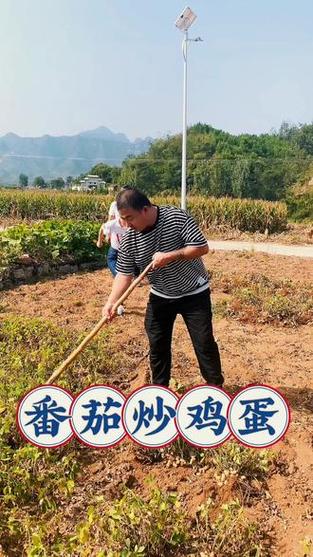 如何下载我的乡村生活？最全面的下载攻略来了！