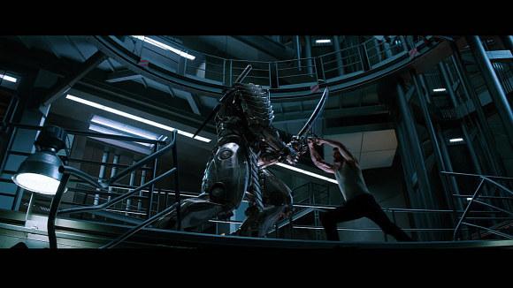 冠军II:女郎帝国最新版本号是多少？附下载链接