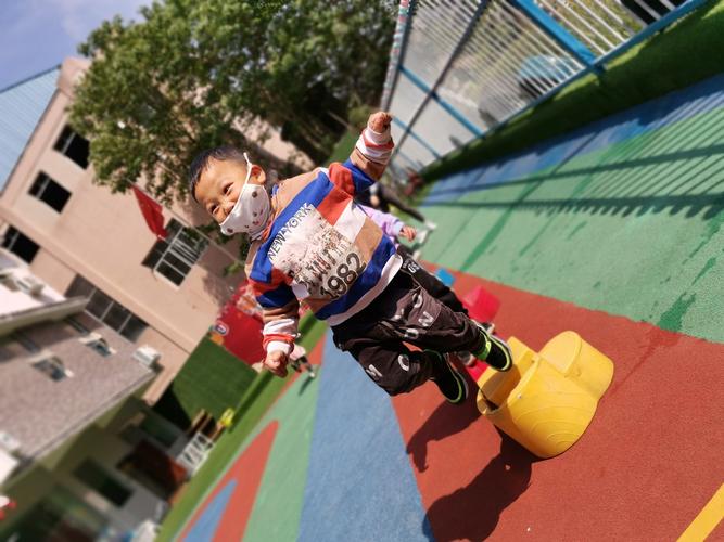 归巢游戏下载安装:帮助小鸟护蛋回家,快来挑战!