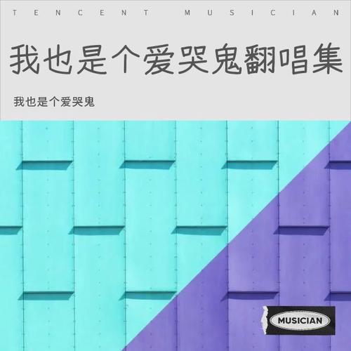 爱的初体验版本大全合集：经典歌曲完整版在线收听