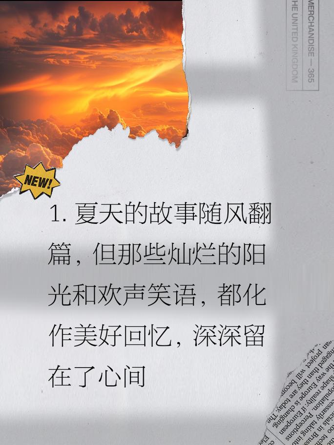 收藏版:逝去的夏天版本大全,带你一起回忆夏天