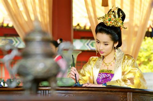 后宫佳丽官方网站：国产剧欧美电影应有尽有