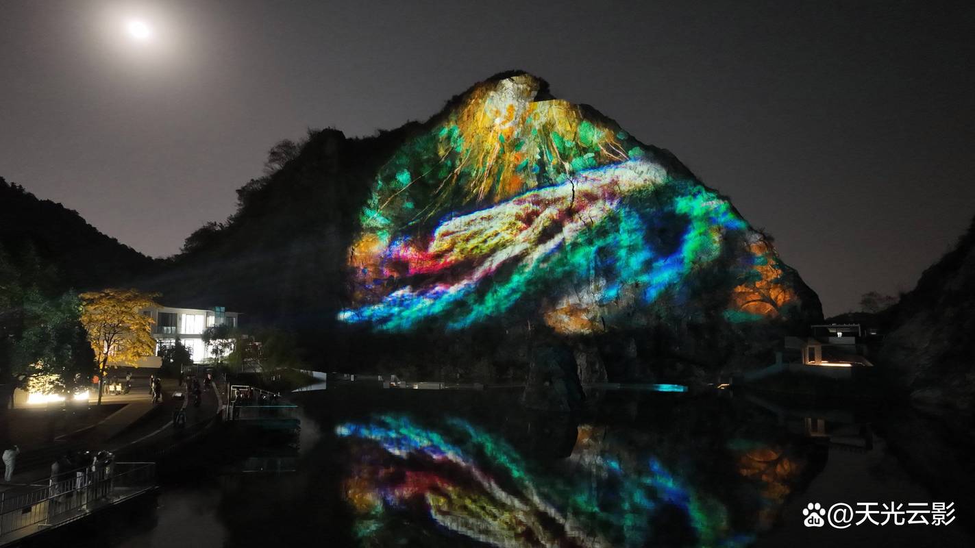 夜幕之花官方网站:夜幕下的艺术奇观,不容错过