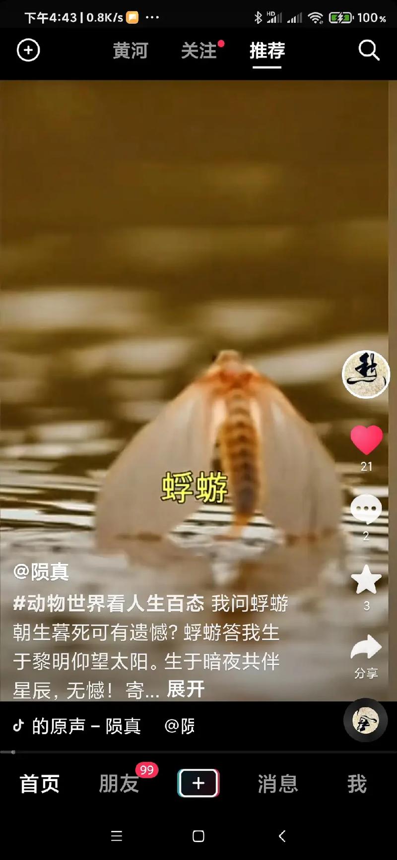 寻找萌兔杨过？蜉蝣V0.2重制版游戏资源下载