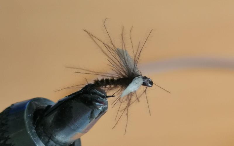 蜉蝣V0.2版本大全：高玩技巧及通关秘籍大放送