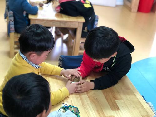 归巢游戏下载安装:帮助小鸟护蛋回家,快来挑战!