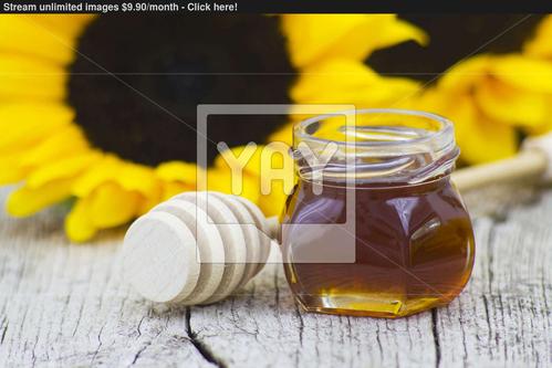 想下载HoneySun？这里提供安全可靠的下载地址