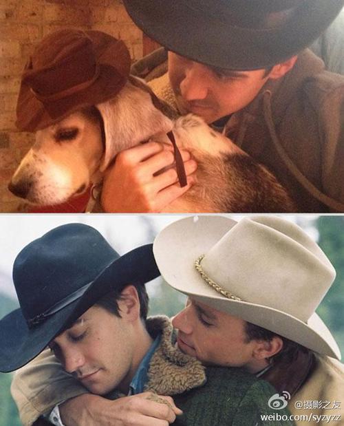 人狗情未了电影下载地址：安全可靠的资源