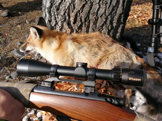 淫魂狩猎游戏官网：探索未知世界，体验刺激的淫魂狩猎