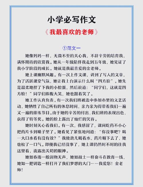 我的最喜欢的老师:最新版本游戏测评