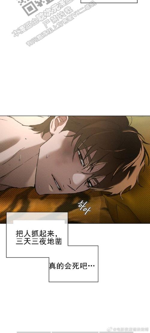 欲望岛最新剧情详解：揭秘岛上惊人秘密