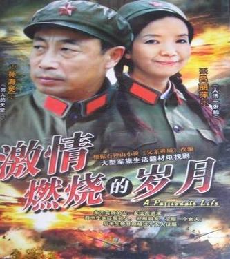 激情燃烧的岁月官网：演员阵容强大，剧情引人入胜