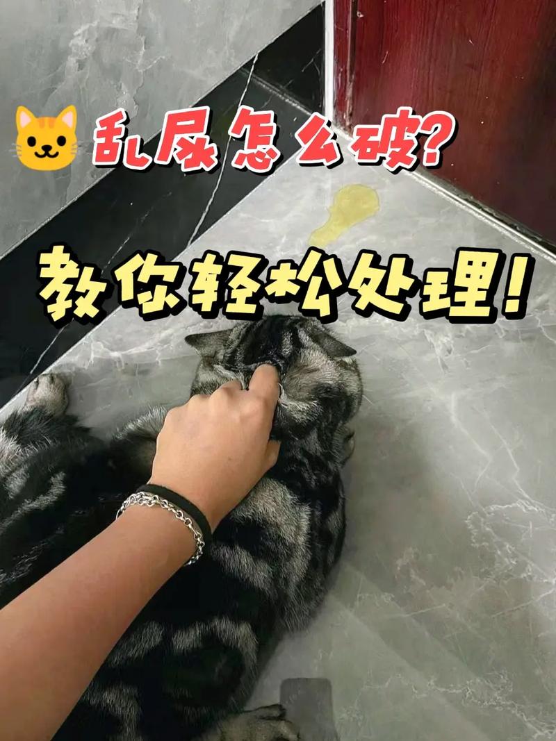 AOA绅士学院更新地址失效?教你轻松找到可用链接