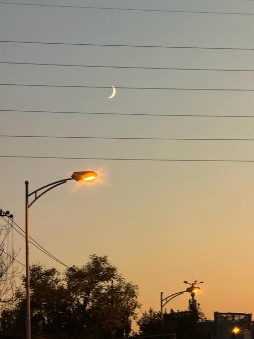 失落的月亮安卓下载：安卓版游戏资源免费下载