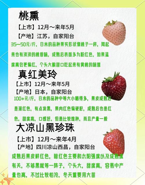 想知道草莓粥粥最新版本?这里有答案!