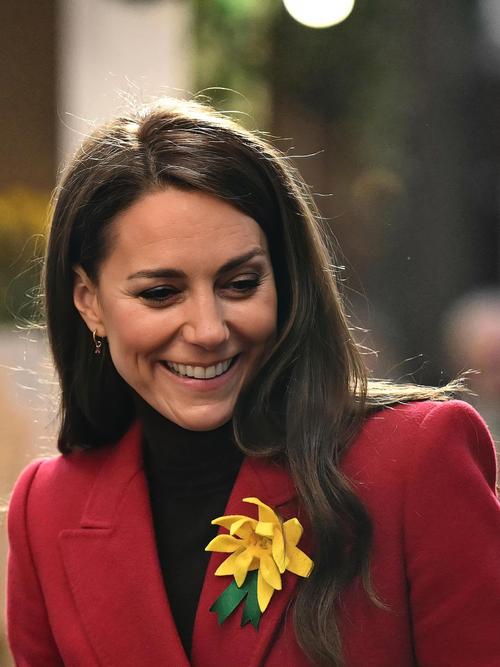 寻找凯特下载链接?这里有你需要的资源!