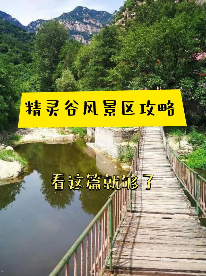 最新精灵谷地址更新,赶紧收藏避免迷路!